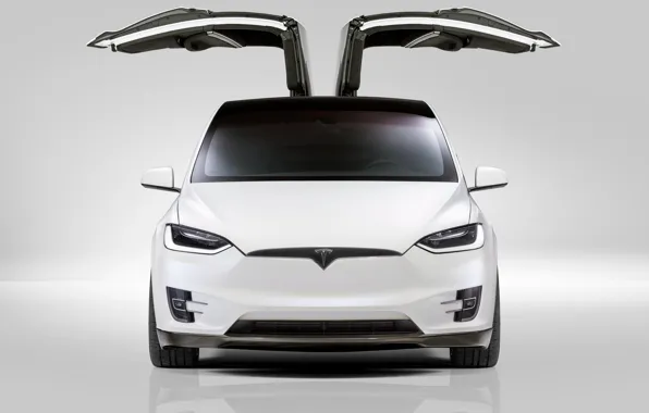 Front view, Tesla, Model X, Novitec, 2017