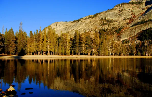 The sky, water, trees, landscape, mountains, nature, lake, surface