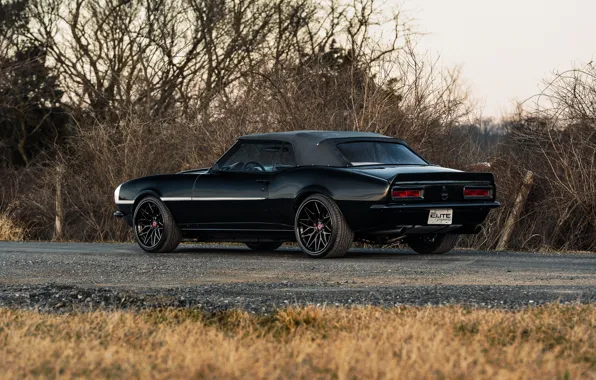Style, black, camaro, chevrolet