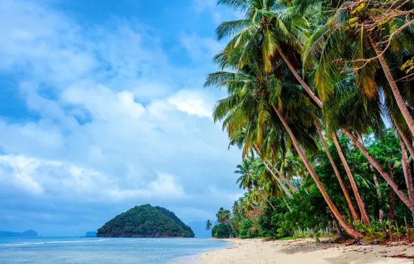 Sand, sea, beach, the sky, clouds, trees, tropics, palm trees