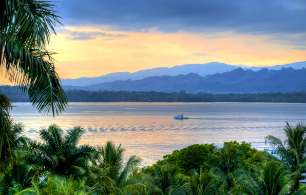 Picture river, palm trees, shore, the evening, Guatemala, Livingston
