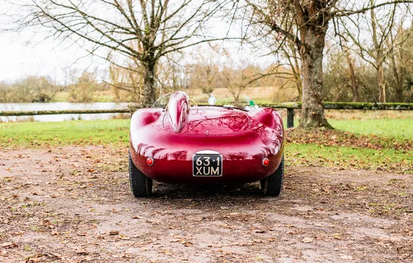Maserati, 1954, Spyder, sports car, the only instance, retro cars, sports cars, retro cars