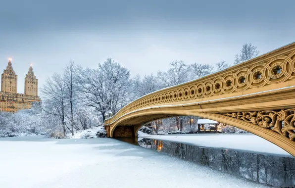 Winter, snow, New York, USA, Central Park, bridge bow
