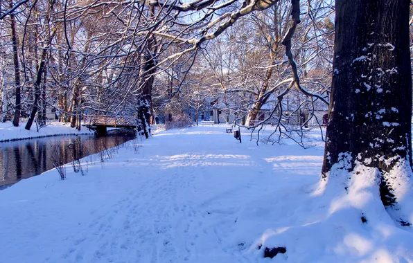 Park, winter, snow, alley