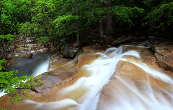 Picture forest, river, stones, stream, Waterfall, forest, waterfall