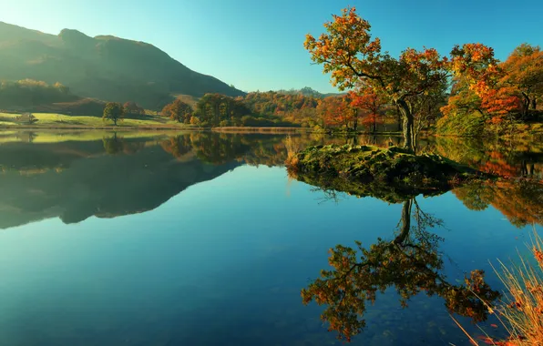 Picture autumn, trees, mountains, lake, reflection, field, England, Sunny
