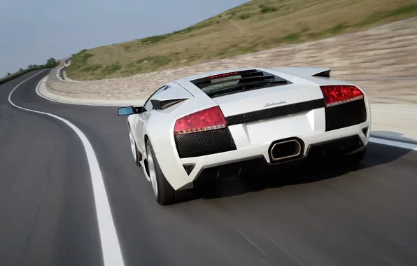 Picture road, white, speed, Lamborghini, supercar, rear view, Murcielago, White