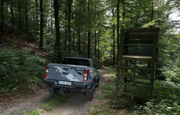 Grey, Ford, Raptor, pickup, Ranger, in the woods, 2019