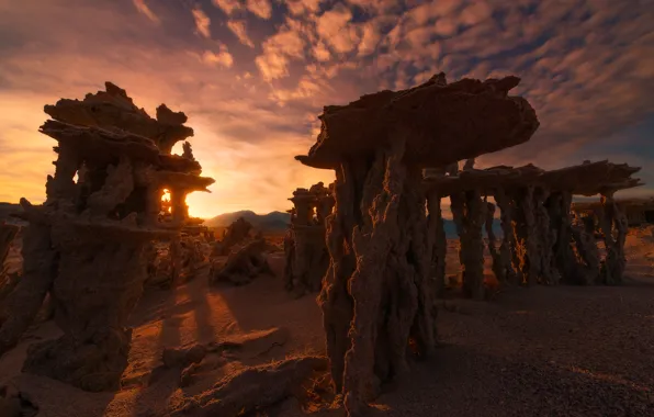 Picture the sun, clouds, the evening, CA, Mono lake, calcareous tufa towers