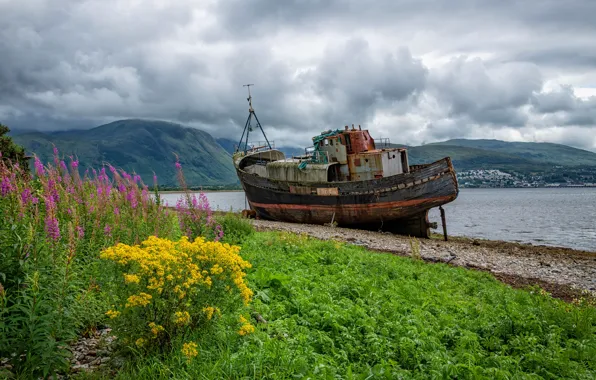 Summer, the sky, clouds, flowers, mountains, overcast, hills, shore