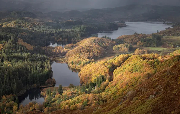 Picture forest, autumn, lake, Scotand, Loch Lomond and The Trossachs