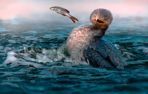 Sea, bird, the situation, fish, mining, cormorant