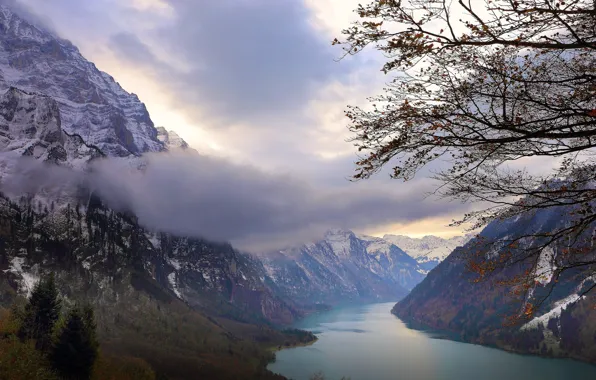 Forest, trees, sea, landscape, nature, mountains, snow, Norway