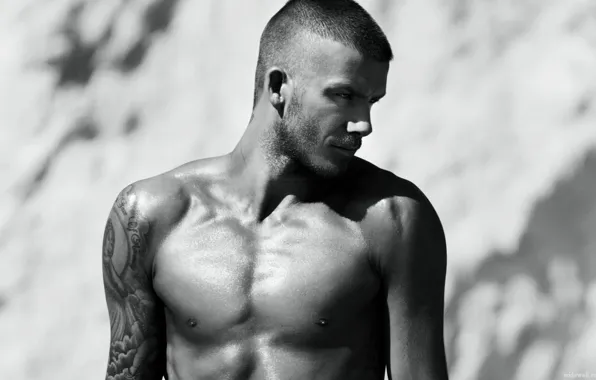 Wallpaper, athlete, picture, David, Beckham