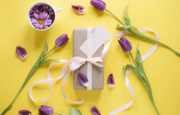 Flowers, gift, tulips, love, flowers, romantic, tulips, gift
