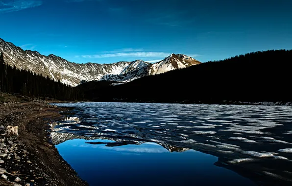 Picture forest, mountains, lake, shore, ice