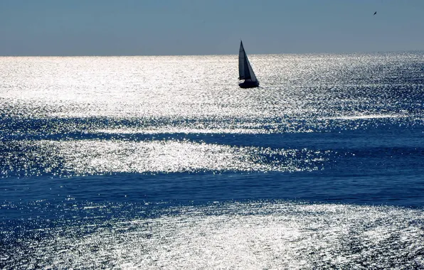 Picture sea, landscape, boat