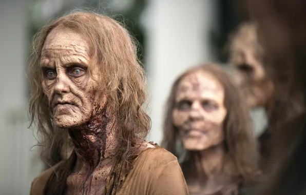 Picture The Walking Dead, Walking, Season-6