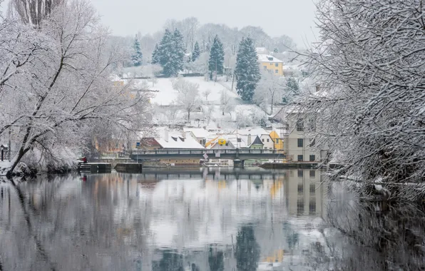 Winter, snow, trees, river, Prague, Czech Republic, Vltava