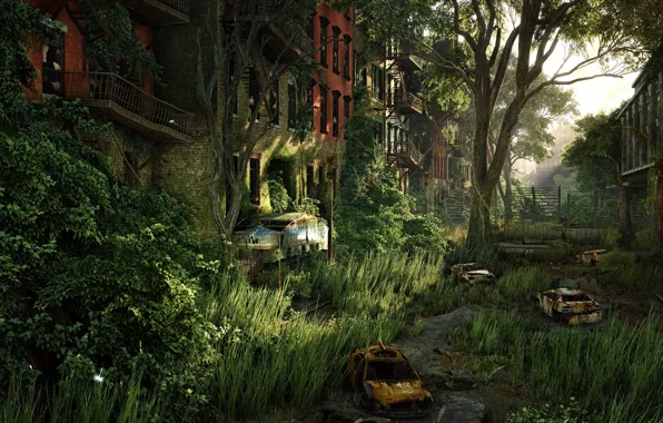 Picture grass, trees, rust, destruction, Crysis