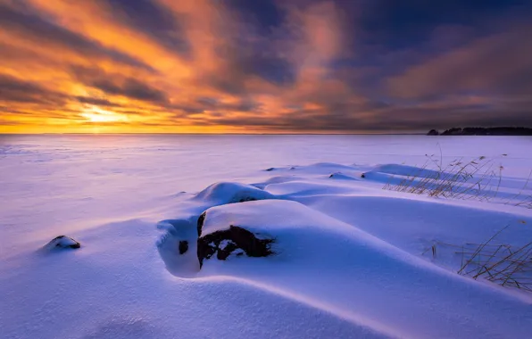 Picture winter, snow, lake, frozen, Finland, Finland, Joensuu