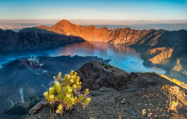 Picture Edelweiss, mountains, horizon, lake