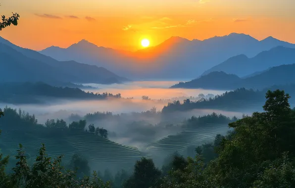 Forest, the sky, the sun, clouds, trees, sunset, mountains, fog