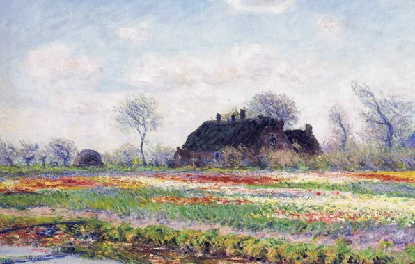 Landscape, flowers, picture, Claude Monet, Field of tulips in Sassenheim near Leiden