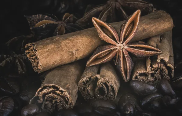 Coffee, cinnamon, Anis