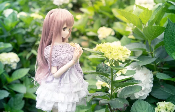 Hair, doll, dress, hydrangea