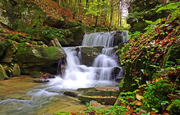 Autumn, leaves, trees, Park, stream, stones, waterfall, moss