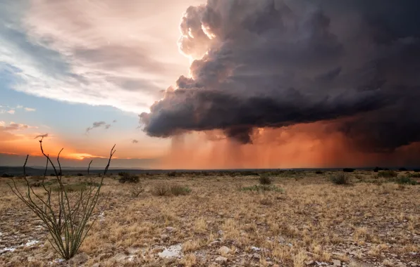 Picture field, clouds, rain