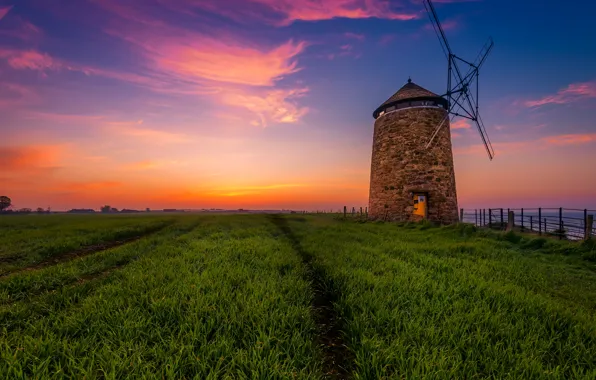 Sea, field, the sky, grass, sunset, coast, the evening, Scotland