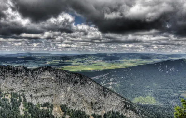 Picture forest, landscape, nature, rocks, view, HDR