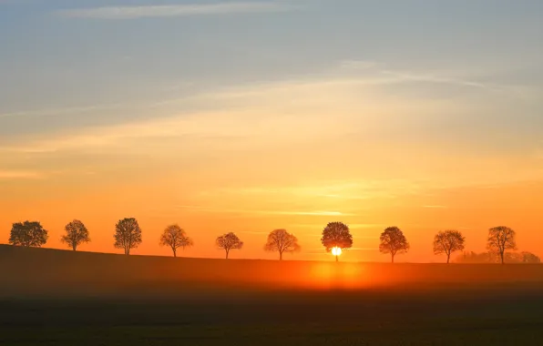 Field, the sky, the sun, clouds, light, trees, sunset, fog