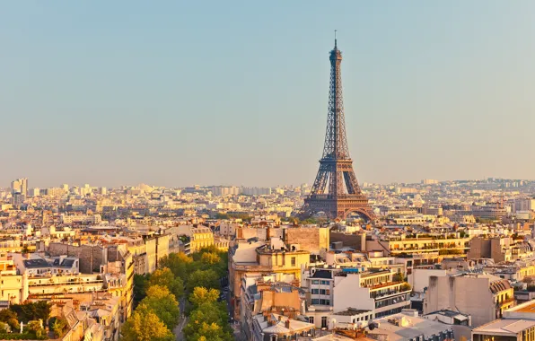 Picture France, Paris, Home, The city, Eiffel Tower, Megapolis