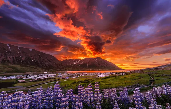 Grass, sky, landscape, nature, sunset, flowers, mountains, clouds