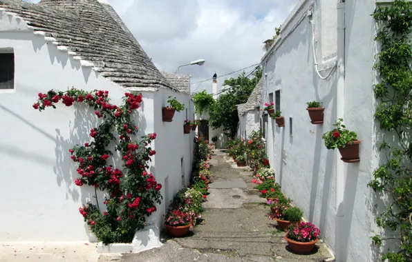 Flowers, home, Italy, pot, lane, Alberobello