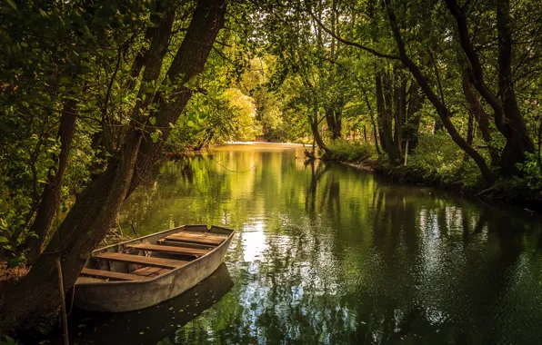 Summer, lake, Park, pond boat