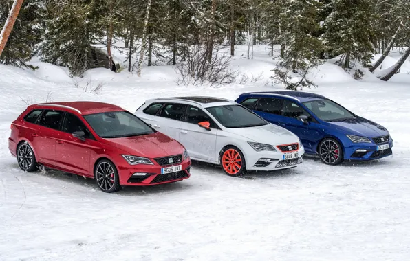 Snow, trees, Parking, Seat, 2017, Leon Cupra ST, station wagons