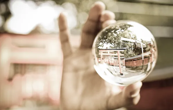 Picture glass, macro, reflection, ball, hand, glass, macro, 2560x1600