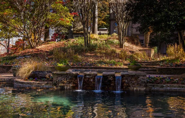 Autumn, grass, the sun, trees, pond, home, garden, USA