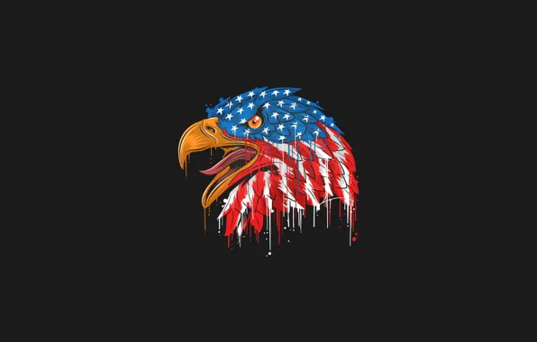 Picture Color, Bird, Style, Flag, Eagle, Head, Beak, USA
