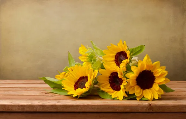 Picture flowers, foliage, sunflower