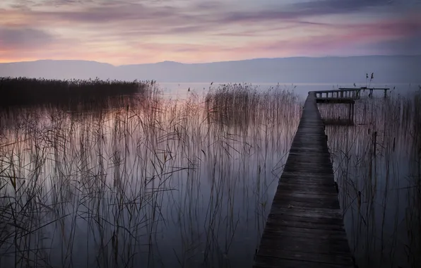Bridge, lake, morning