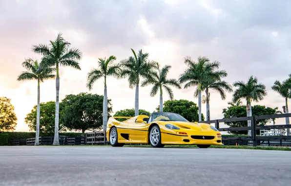 Ferrari, sports car, convertible, 1995, F50, Ferrari F50