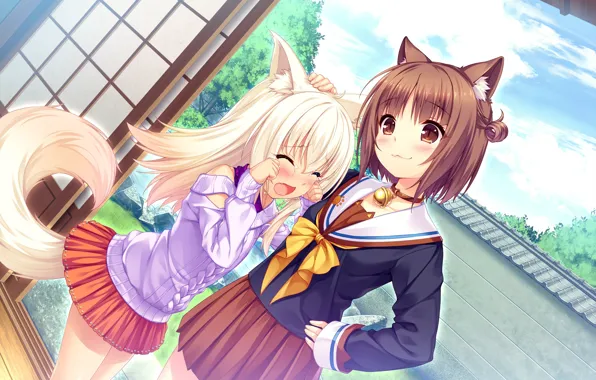 Girls, Bow, Nekopara