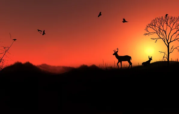 Picture the sky, the sun, trees, landscape, sunset, hills, bird, deer