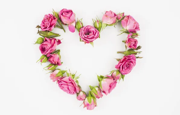 Heart, roses, pink, buds, pink, roses, Heart