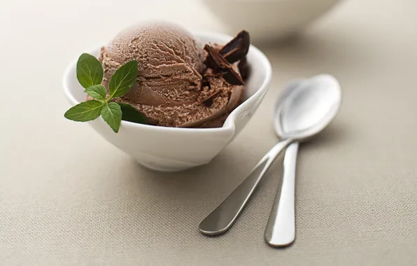 Chocolate, ice cream, mint, chocolate, ice cream, bowl, spoon, mint